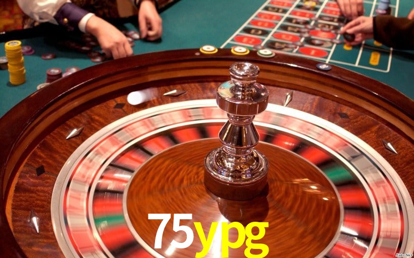 Interface Premium 75ypg